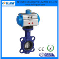 Standard pneumatic actuator